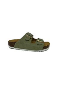 Plakton CP-Beta