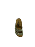 Plakton CP-Beta