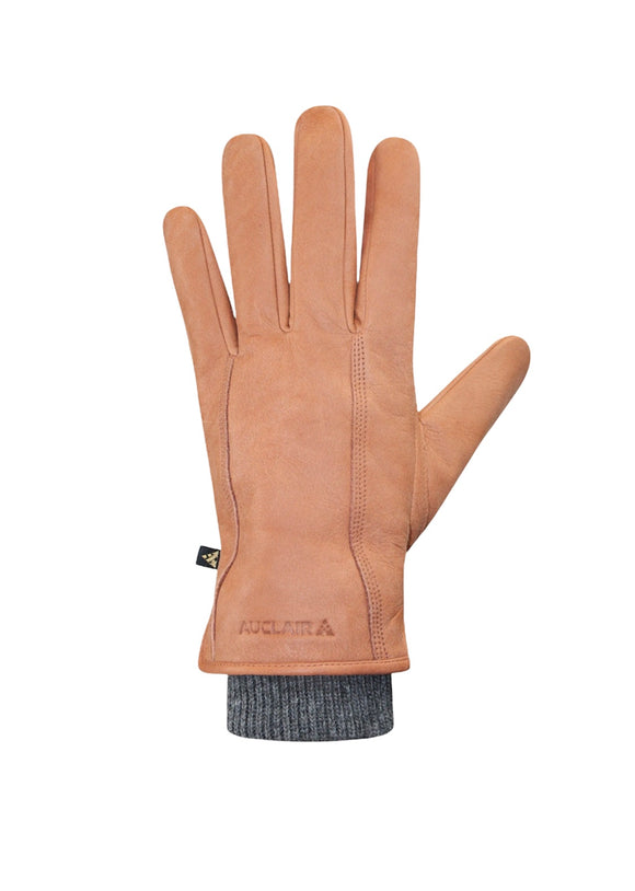 Auclair Aiden Men's Gloves