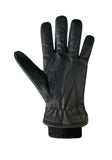 Auclair Aiden Men's Gloves